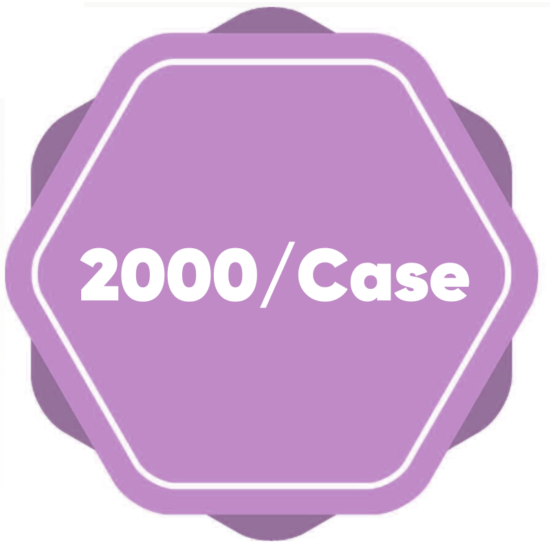2000 Case 2000 Case