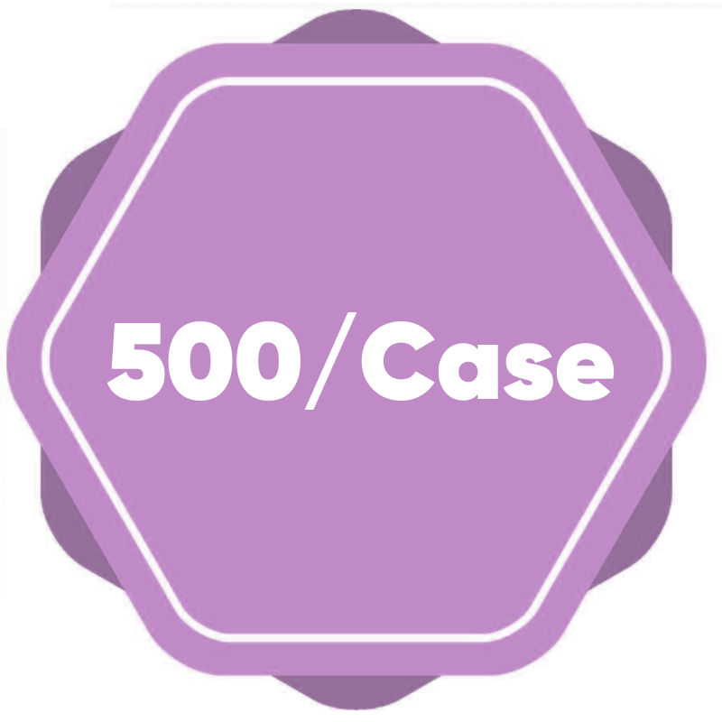 500 Case 500 Case