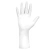 HG3 White SGX Nitrile Cleanroom Glove 1