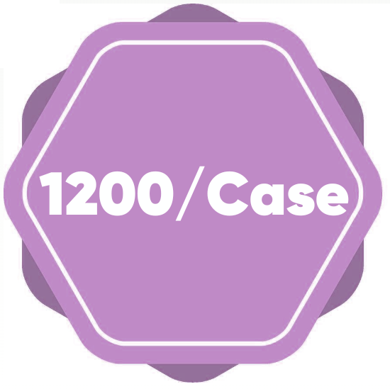 1200 Case