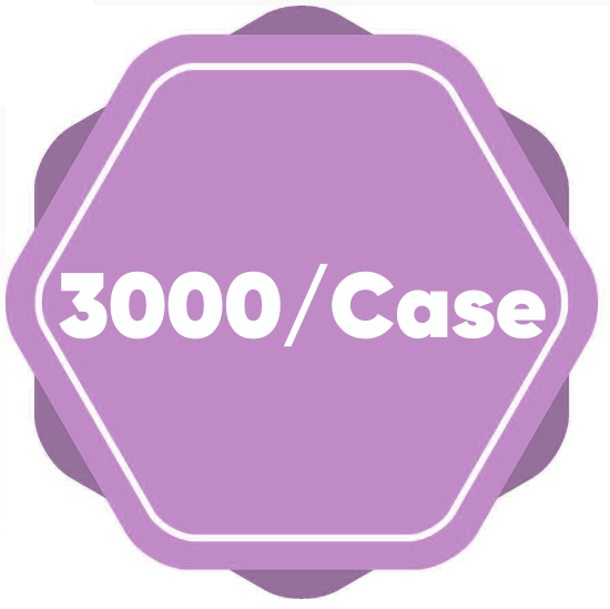 3000 Case 3000 Case