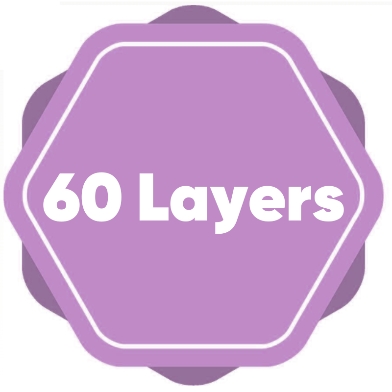 60 Layer 60 Layer
