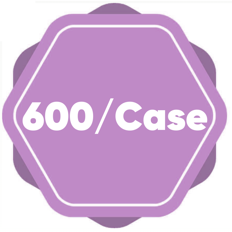 600 Case 600 Case
